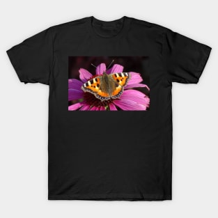 Small tortoiseshell butterfly – Aglais Urticae T-Shirt